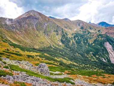 Starorobocianski Wierch Dağı - Batı Tatras - Polonya