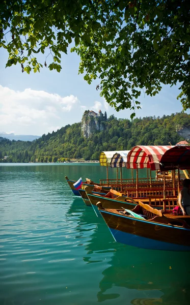 Boten op Lake Bled verticale — Stockfoto