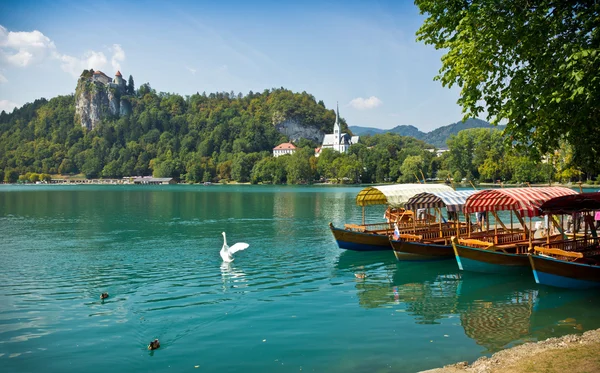 Barcos no Lago Bled horizontal com cisne — Fotografia de Stock