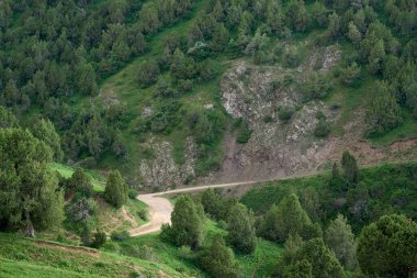 Dağları aşıp Kırgızistan ovalarını geçen tozlu kır yolu