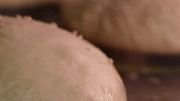 Baker fait une miche de pain avec la pâte. Chef boulanger saupoudrer les graines de sésame sur la pâte à pain cru. — Video
