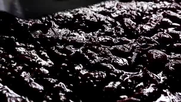 Spianamento con una spatola marmellata di ciliegie su un biscotto al cioccolato. il processo di fabbricazione di una torta — Video Stock