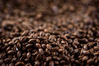 Maltlı tahıl yakın çekim. Gri arka planda karışık tahıl çeşitleri. Yakın plan. Üst Manzara. Düz yat. Bir dizi fotoğraf. boşluk