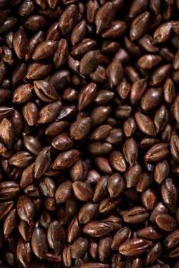 Maltlı tahıl yakın çekim. Gri arka planda karışık tahıl çeşitleri. Yakın plan. Üst Manzara. Düz yat. Bir dizi fotoğraf. boşluk