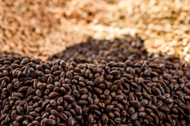 Maltlı tahıl yakın çekim. Gri arka planda karışık tahıl çeşitleri. Yakın plan. Üst Manzara. Düz yat. Bir dizi fotoğraf. boşluk