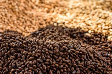 Maltlı tahıl yakın çekim. Gri arka planda karışık tahıl çeşitleri. Yakın plan. Üst Manzara. Düz yat. Bir dizi fotoğraf. boşluk