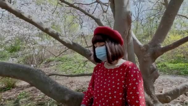 European woman in protective mask works on laptop in the park, sitting on tree. COVID 19 protection — Stock Video