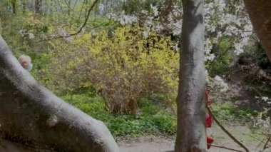 Kızlar parkta birbirlerini selamlarlar. İnsanları ayaklarıyla selamlayan yeni bir tokalaşma. Güvenli tokalaşma