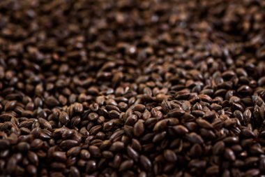 Maltlı tahıl yakın çekim. Gri arka planda karışık tahıl çeşitleri. Yakın plan. Üst Manzara. Düz yat. Bir dizi fotoğraf. boşluk