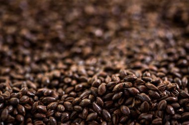 Maltlı tahıl yakın çekim. Gri arka planda karışık tahıl çeşitleri. Yakın plan. Üst Manzara. Düz yat. Bir dizi fotoğraf. boşluk