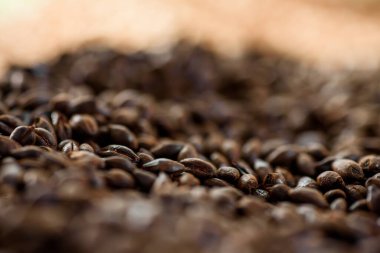 Maltlı tahıl yakın çekim. Gri arka planda karışık tahıl çeşitleri. Yakın plan. Üst Manzara. Düz yat. Bir dizi fotoğraf. boşluk