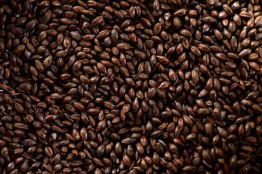 Maltlı tahıl yakın çekim. Gri arka planda karışık tahıl çeşitleri. Yakın plan. Üst Manzara. Düz yat. Bir dizi fotoğraf. boşluk