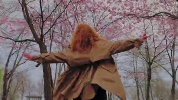 Giovane ragazza dai capelli rossi sta girando sotto la fioritura sakura nel parco. Godersi la vita — Video Stock