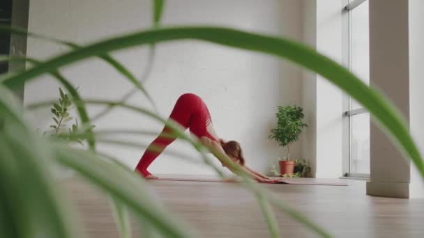 Hermoso yoga. Mujer joven en uniforme deportivo rojo hace suave onda corporal. concepto de estilo de vida saludable — Vídeo de stock