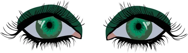 Очі Жіночі Красиві Людські Складені Близько Розташований Вектор Білому Тлі — стоковий вектор