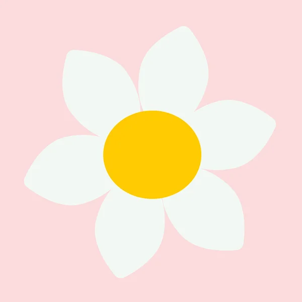 flower with white petals and yellow center, vector drawing, isolate on a white background