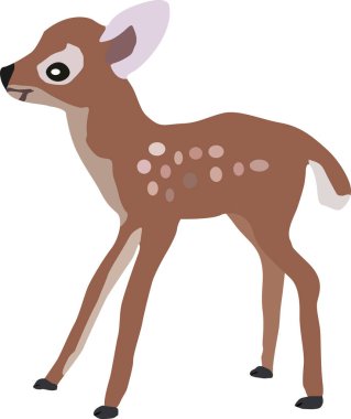 Kenarlarında noktalar olan küçük bir geyik yavrusu, artiodactyl memeliler, vektör çizimi, beyaz arka planda izole edilmiş.