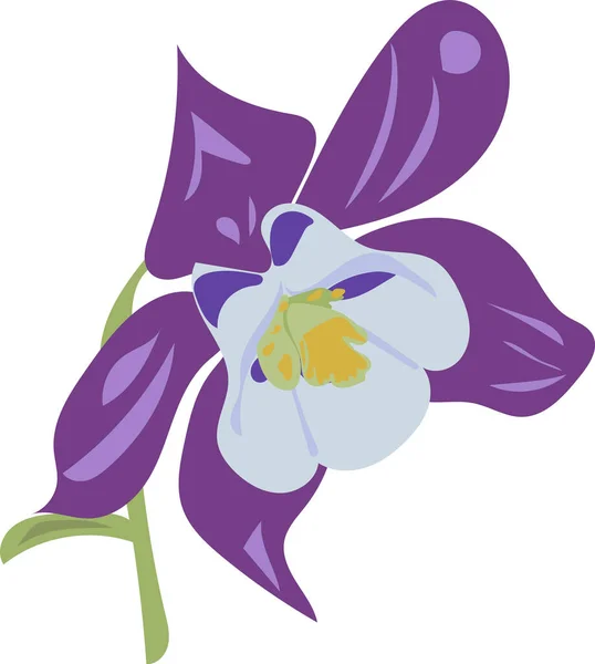 Fioletowy Kwiat Akwilegia Rysunek Wektora — Wektor stockowy