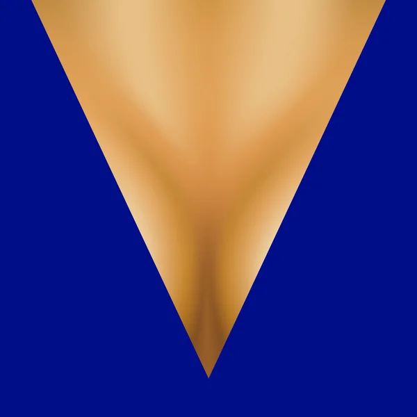 Women's breasts in blue dress — Stock Vector