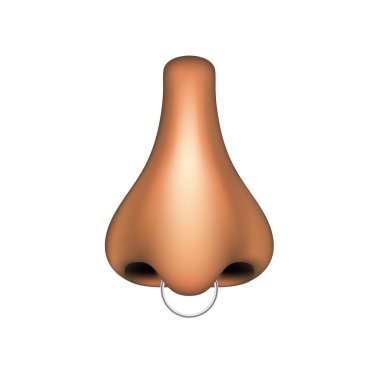 İnsan Burun piercing ile