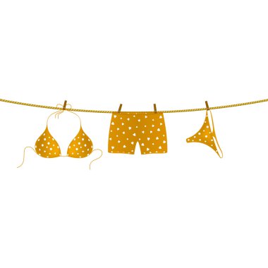 Bikini ve boxer şort ipte asılı