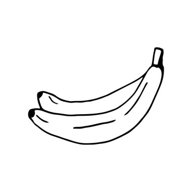 Muzun karalama resmi. Bir meyvenin vektör görüntüsü. Parmak izi, ağ ve tekstil için el çizimi resim.