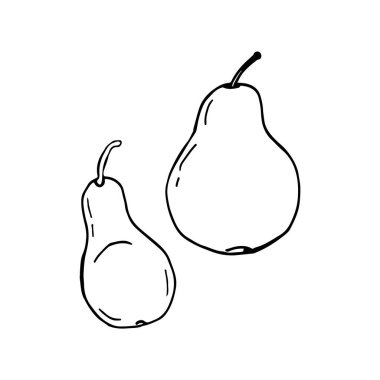 Armutların karalama resmi. Bir meyvenin vektör görüntüsü. Parmak izi, ağ ve tekstil için el çizimi resim.