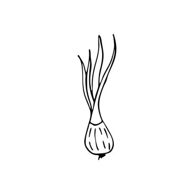 Selam dur. Elle çizilmiş resimler. Posterler, ağ, tekstil, çocuk boyama sayfaları için vektör.