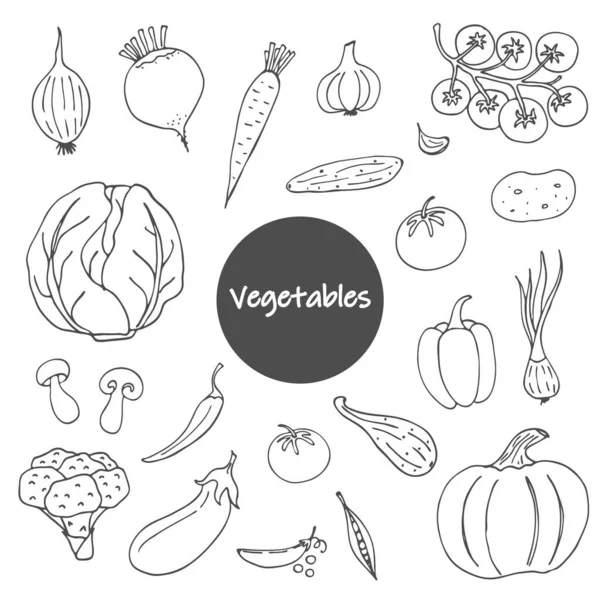 Uppsättning Vegetabiliska Klotter Vit Bakgrund Handritade Bilder Vektor För Affischer — Stock vektor