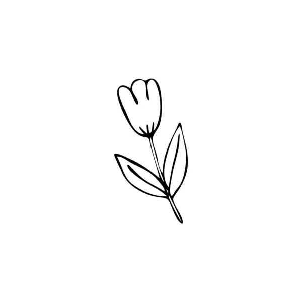 Doodle Imagem Uma Tulipa Ilustração Crianças Desenhadas Mão — Vetor de Stock