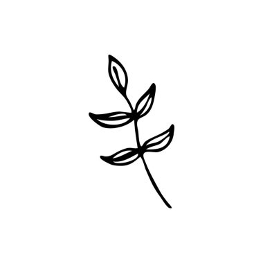 Doodle Botany elementi. Flora 'nın el yapımı resimleri. Çeşitli tasarımlar için resim. Şube