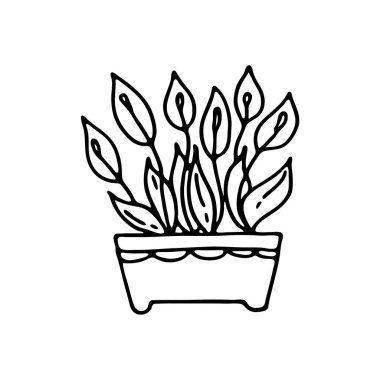 El yapımı ev bitkisi. Ev çiçeğinin karalama resmi. Çeşitli ürünlerin, tekstil, kartpostalların, defterlerin, defterlerin dekorasyonu için vektör resimleri.