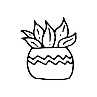 Saksıda sulu bir bitki. El yapımı ev bitkisi. Ev çiçeğinin karalama resmi. Çeşitli ürünlerin, tekstil, kartpostalların, defterlerin, defterlerin dekorasyonu için vektör resimleri.