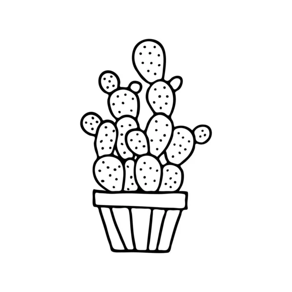 Cactus Een Pot Met Hand Getekende Kamerplant Doodle Afbeelding Van — Stockvector