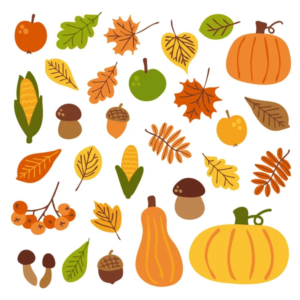 Doodle Set Autumn Elements Pumpkins Apples Leaves Mushrooms Corn Vector — Stock Vector