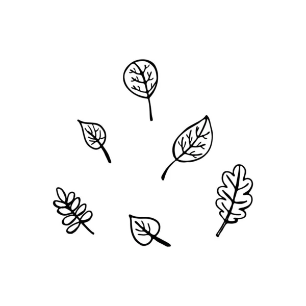 Листя Встановлено Елемент Doodle Веб Дизайну Канцелярського Приладдя Логотипу Листівок — стоковий вектор