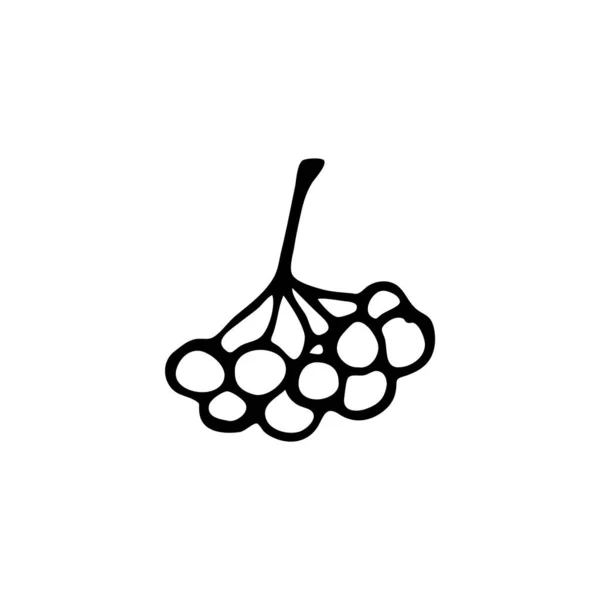 Rowanberry Elemento Doodle Para Web Design Artigos Papelaria Logotipo Cartões — Vetor de Stock