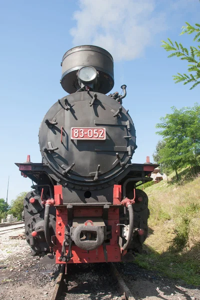 Locomotive of narrow gauge railway — Stock Photo, Image