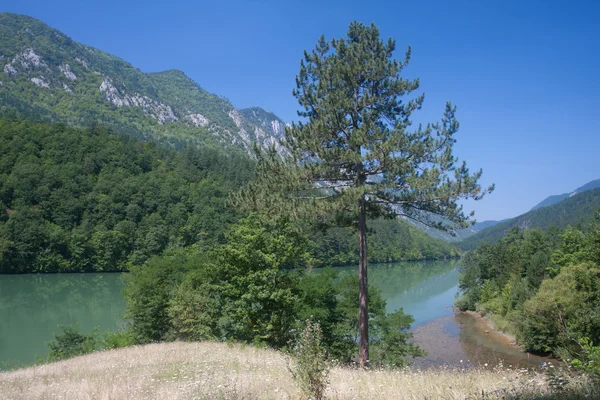 River Drina in Serbia — Stock Photo, Image