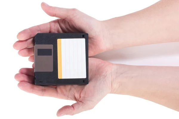 Female hands holding floppy disks — Stock Photo, Image