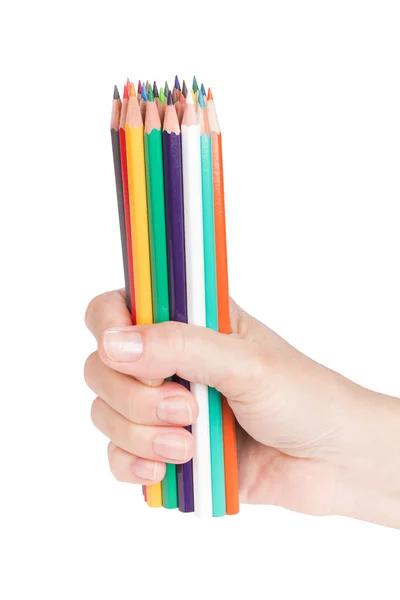 Female hand with a bunch of pencils — Stock Photo, Image