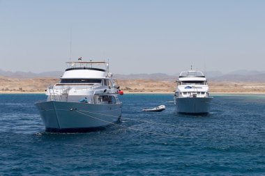 Red Sea'deki/daki zevk yat