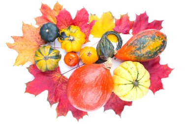 Dekoratif kabak üzerinde sararmış akçaağaç yaprakları