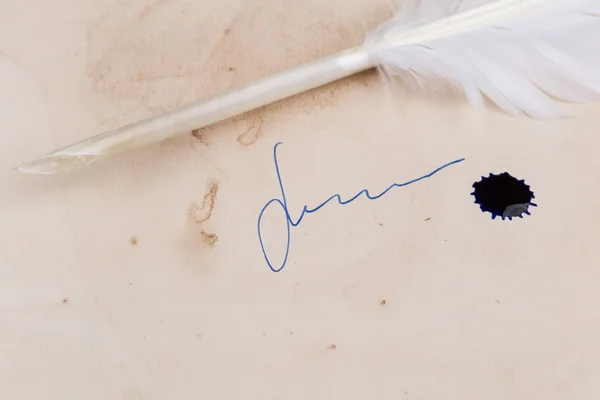 White Feather pen on old paper — Stock Photo, Image