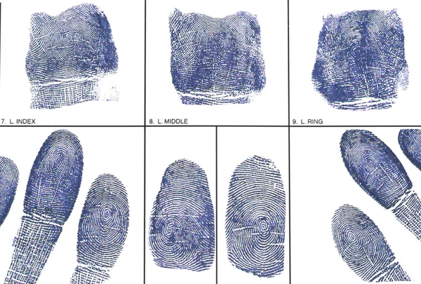 A Fingerprint card — Stock Photo, Image