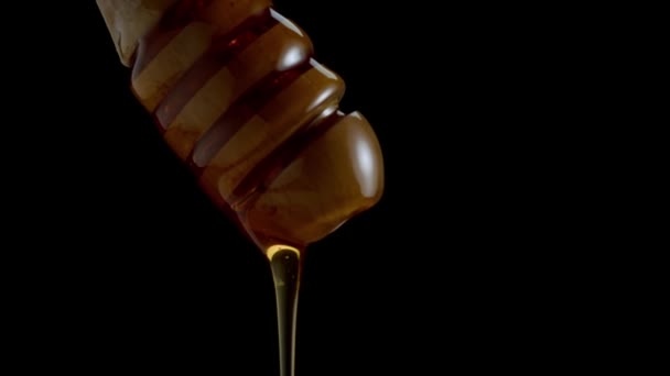 Alcantarillas y gotas de miel, sobre fondo negro — Vídeo de stock