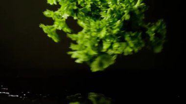 Siyah Arkaplanda Su Sıçratan Frizya Maydanozu, Yavaş Çekim 4K