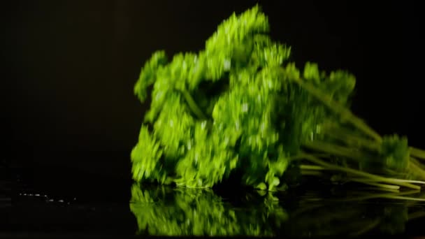 Friesian Parsley with Water Splashing on Black Background, Slow Motion 4K — Stock Video