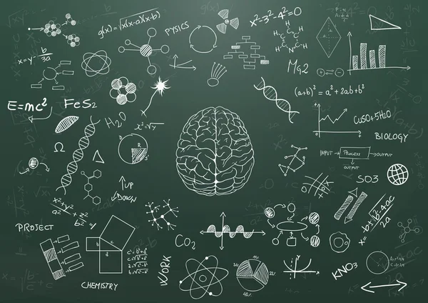 Lavagna di scienza del cervello — Vettoriale Stock