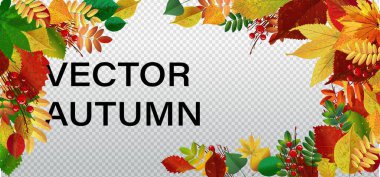 Meşe yaprağı sınır soyut arka plan mevsimsel vektör illüstrasyonu Sonbahara özel sınır vektörü arkaplanı. Beyaz meşe ağacı sonbahar yaprakları.